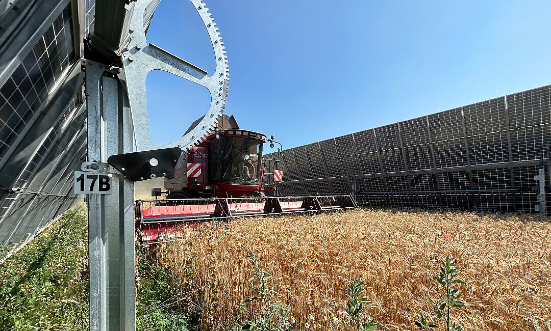Weizen und Mohn dreschen, erste Ernte mit Mähdrescher am EWS Sonnenfeld Bruck an der Leitha franz