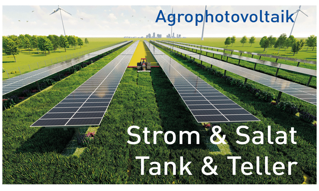 Agrar-Photovoltaik - die naturverträglichste Art der Sonnenstromerzeugung.