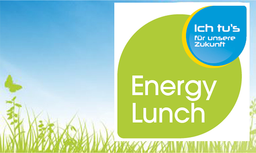Das EWS Sonnenfeld® beim "Ich tu`s Energy Lunch Steiermark" 2020
