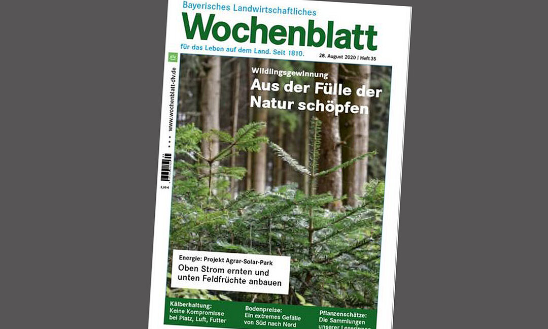 Titelbild Bayerisches Landwirtschaftliches Wochenblatt